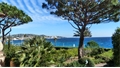 Villa à la vente